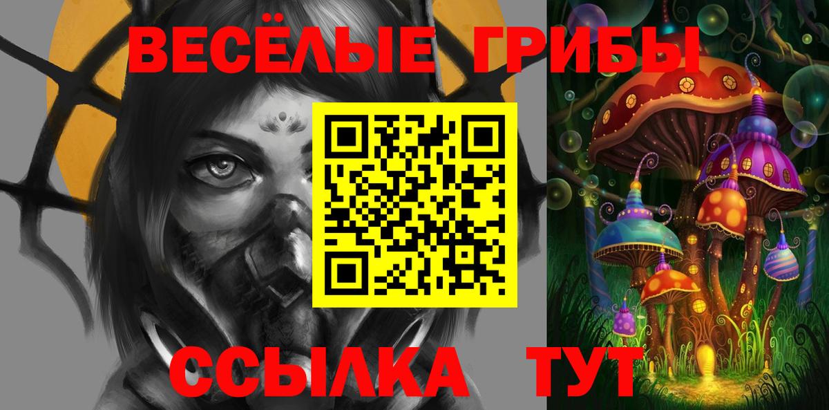 Псилоцибиновые грибы мицелий Конаково