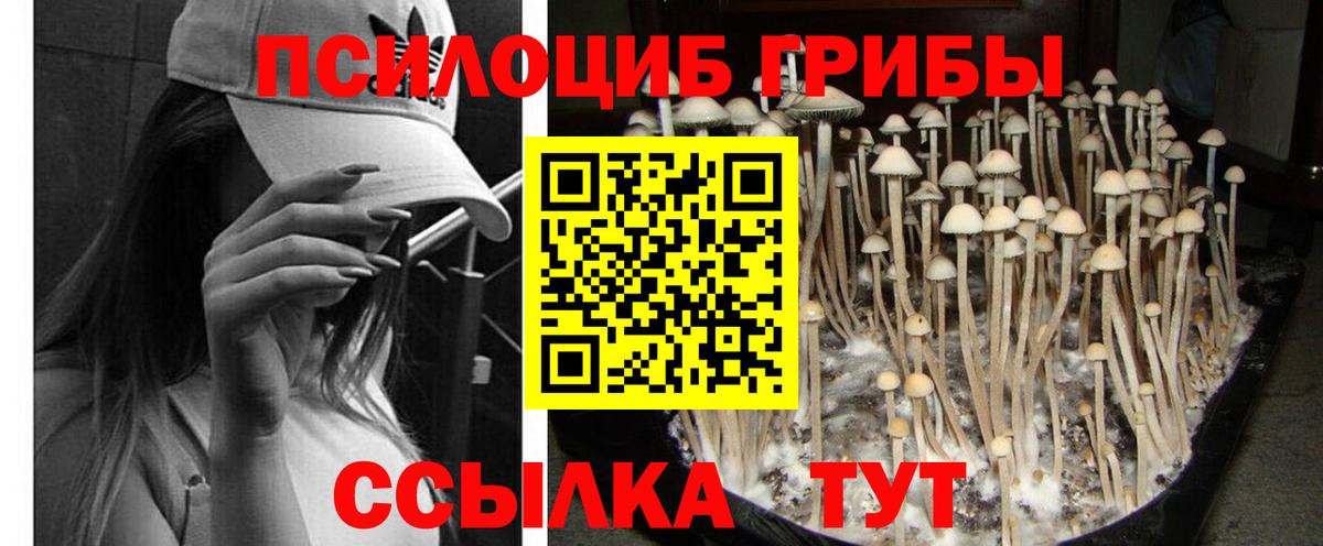 Конаково  Псилоцибиновые грибы MAGIC MUSHROOMS  Вход с VPN  купить   Псилоцибиновые грибы мухоморы 